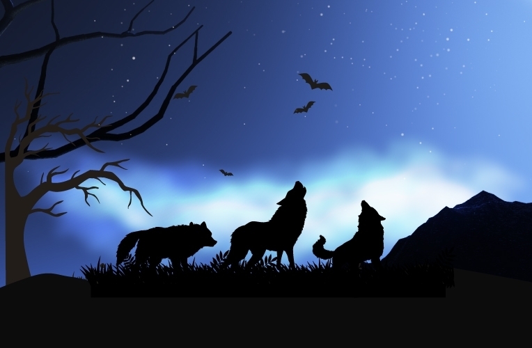 Don’t Be Weak Against The Wolves of The Cyber Threat World